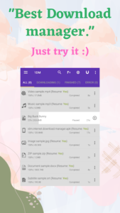 1DM+ MOD APK 21.3 (Premium Unlocked, No Ads) | 100% Working & Safe 1