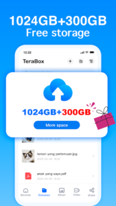 TeraBox MOD APK v4.2.4 (Premium Unlocked, No Ads) | 100% Safe & Working 3
